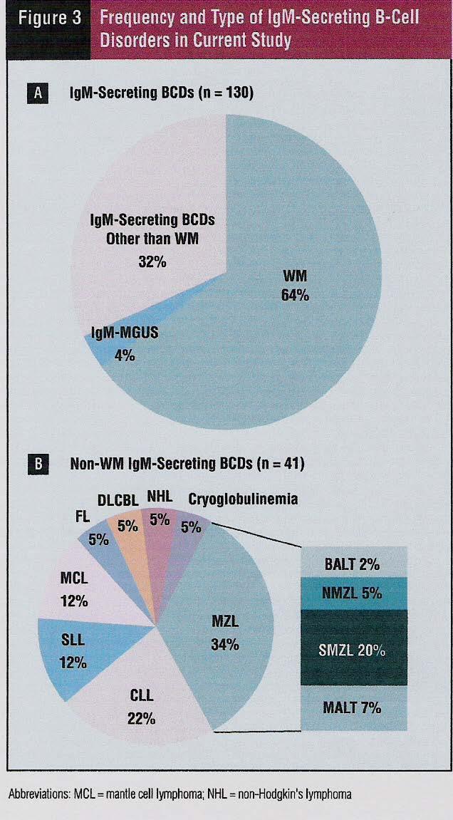Ασθενής με IgM παραπρωτεϊναιμία Εισαγωγή (2) Κάθε Β-ΝΗΛ μπορεί να εκκρίνει IgM παραπρωτεϊναιμία Ουσιαστικά,