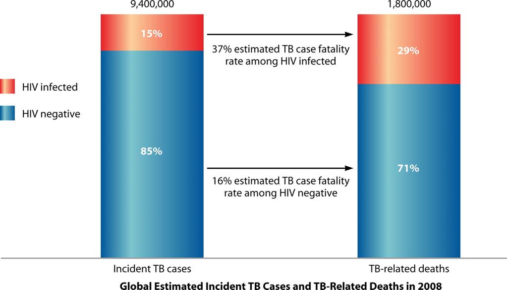 HIV-associated TB contributes disproportionately to TB-related