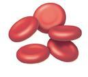 Έμμορφα συστατικά του αίματος Eρυθρά αιμοσφαίρια ή ερυθροκύτταρα (RBC): δίνουν στο αίμα το χαρακτηριστικό κόκκινο χρώμα του μέσω της αιμοσφαιρίνης που περιέχουν.