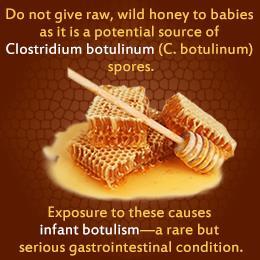 CLOSTRIDIUM BOTULINUM Πηγές Clostridium botulinum: Τα σπόρια του C.