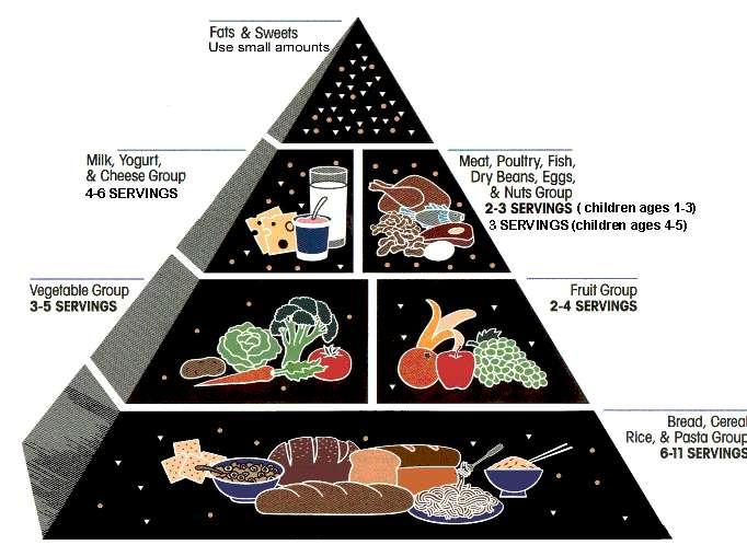 Πυραμίδα διατροφής Λίπη Γλυκά Γαλακτοκομικά Λαχανικά Κρέας, Ψάρι