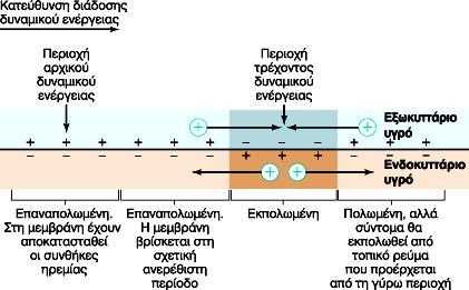 Δυναμικό ενέργειας σε