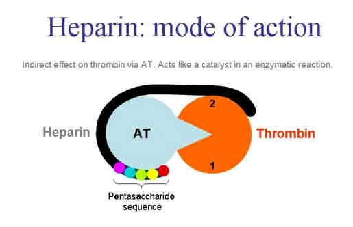 Έχουν άμεση αντιθρομβινική δράση και ενεργούν με 2 τρόπους: Μηχανισμός ήπιας δράσης: 1 μονάδα ηπαρίνης εξουδετερώνει μια μονάδα