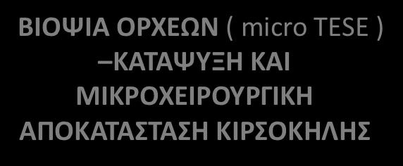 έλεγχος * ΦΥΣΙΟΛΟΓΙΚΟΣ ΒΙΟΨΙΑ ΟΡΧΕΩΝ ( micro TESE ) ΚΑΤΑΨΥΞΗ ΚΑΙ