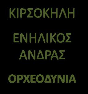 U/S οσχέου-όρχεων, σπερμοδιάγραμμα ΚΙΡΣΟΚΗΛΗ ΕΝΗΛΙΚΟΣ ΑΝΔΡΑΣ ΟΡΧΕΟΔΥΝΙΑ ΦΥΣΙΟΛΟΓΙΚΑ