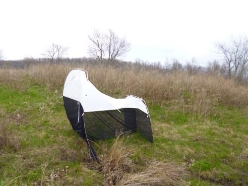 JAMES N. ALLAN PROVINCIAL PARK One Malaise trap was deployed at James N. Allan Provincial Park in 2014 (42.84962, -79.66397, 175m ASL; Figure 1).