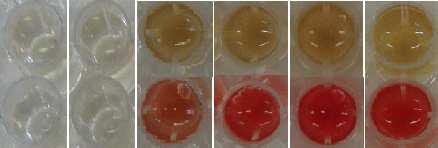 A. Cultivation of Shigella flexneri LMG2 at 3 C 8. 9 8.. Log (cfu/ml).... ph 3. 2. 3. 2 8 9 2 2 Time (hours) 3. ph: S. flexneri LMG2 ptrc99a Cell number: S.flexneri LMG2 ptrc99a ph: S.