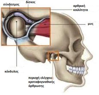 Προβλήματα που συνεισφέρουν στην δυσλειτουργία της κροταφογναθικής άρθρωσης, αλλά και σε δευτερεύοντα συμπτώματα, μπορεί να υπάρχουν στο Νευρικό Σύστημα, στο μυοσκελετικό, στο μυοπεριτοναϊκό