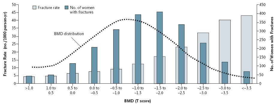 Επίπτωση καταγμάτων (n/1000 άτομα/έτος) Αριθμός γυναικών με κατάγματα Τιμή DEXA και εμφάνιση καταγμάτων Επίπτωση καταγμάτων Ν γυναικών με κατάγματα Κατανομή BMD Επίπτωση