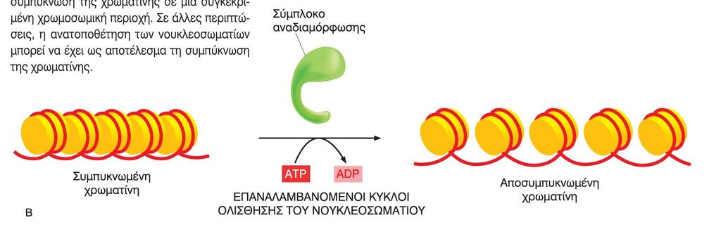 Σύμπλοκα αναδιάταξης της χρωματίνης Χρησιμοποιούν την ενέργεια από την υδρόλυση του ΑΤΡ