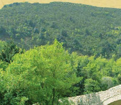 προγράμματα, περιοχή (ΟΠΑΑΧ Ξηρομέρου - ΟΠΑΑΧ ΒΔ Ευρυτανίας -