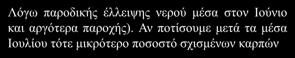 ΡΟΥΣΣΟΣ Σχίσιμο καρπών Δαμασκηνιάς Επάκρια σχισίματα Πλάγια σχισίματα ΠΕΤΡΟΣ Περί τα μέσα Ιουνίου