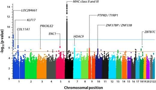 Genetics Consortium p<2.5 10 8 p<5 10 6 Ombrello MJ, et al.