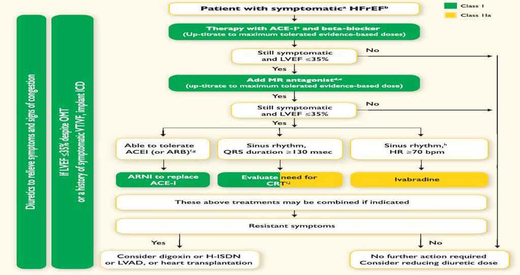 ESC Guidelines 2016: Therapeutic Algorithm in Patients with