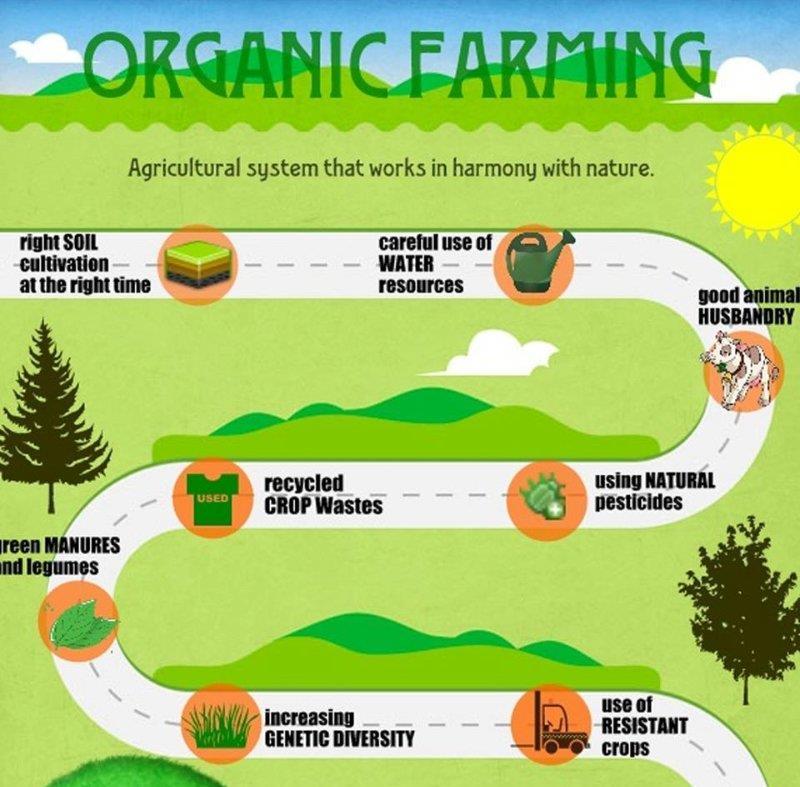 Η βιολογική γεωργία είναι ένα σύστημα καλλιέργειας, που προσφέρει υγιεινά και ποιοτικά προϊόντα.
