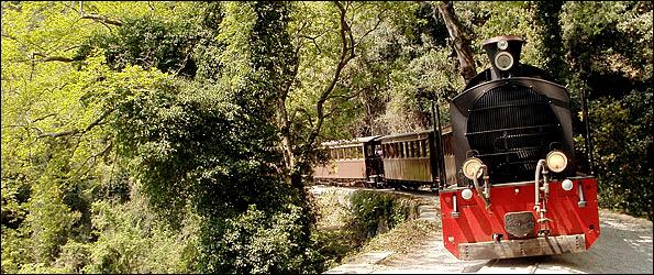 Πάρτε μαζί σας τα χρώματα του Πηλίου, σε βαζάκια με μαρμελάδες, γλυκά του κουταλιού, παραδοσιακά γλυκίσματα κ.ά. Θαυμάστε τα πανύψηλα δέντρα και την εκπληκτική φύση του Πηλίου.