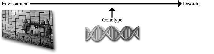 Ευαλωτότητα vs Ανθεκτικότητα Αλληλεπίδραση γονιδίων και περιβάλλοντος GXE Σύνθετες ψυχικές διαταραχές όπως η σχιζοφρένεια είναι το αποτέλεσμα της διαντίδρασης μεταξύ γενετικών και περιβαλλοντικών