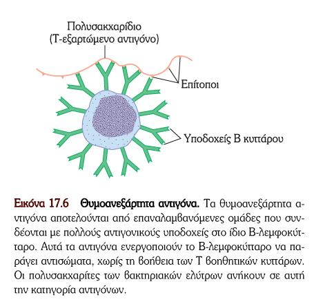 Τα συζευγμένα εμβόλια Τα συζευγμένα εμβόλια έχουν αναπτυχθεί τα τελευταία χρόνια, για να αντιμετωπίσουν την πτωχή ανοσολογική απάντηση των