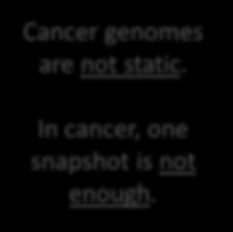 evolve and diversify the cancer Some alter aggressiveness which