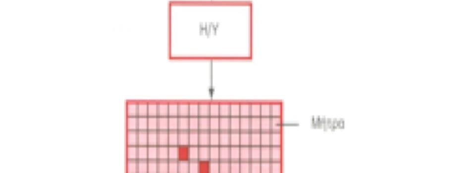 o Η απεικόνιση της τομής (εικόνας εμφανίζεται στην οθόνη με διαβαθμίσεις του γκρι, ανάλογα με την τιμή του