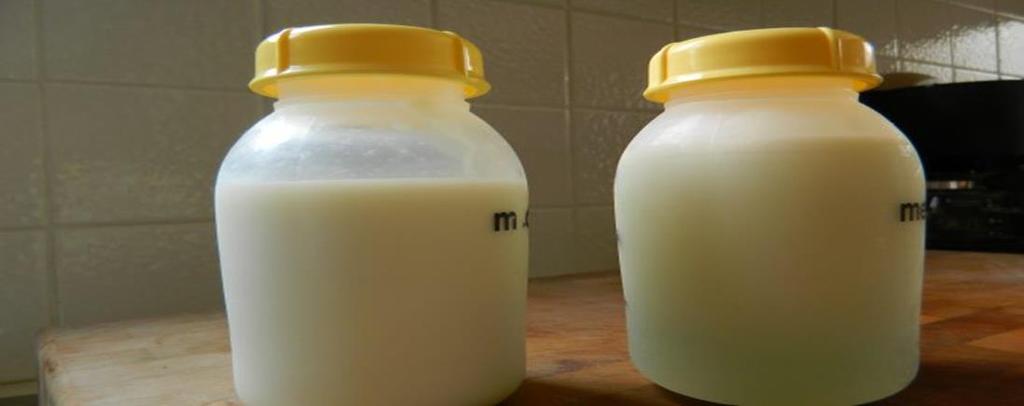 Οι μητέρες προώρων <34 εβδομάδων παράγουν γάλα με μεγαλύτερη περιεκτικότητα σε πρωτείνη Το γάλα τράπεζας προέρχεται από δότριες που