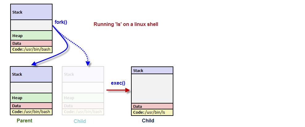 Παράδειγμα δημιουργίας ενός απλού shell Ο φλοιός (shell) ή διερμηνέας εντολών (console/terminal) χρησιμοποιεί τη fork() για να δημιουργήσει μια διεργασία-παιδί που θα εκτελεί τις εντολές που δέχεται.