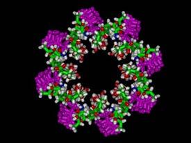 Δράση στην κυτταρική μεμβράνη Πολυένια : Amphotericin B Lipid