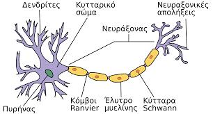 22 Δομή