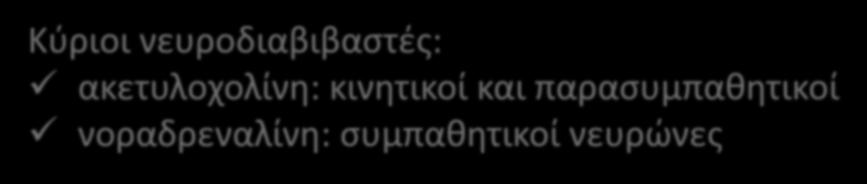 δεσμεύονται από τους υποδοχείς του μετασυναπτικού νευρώνα και η ώση διαβιβάζεται