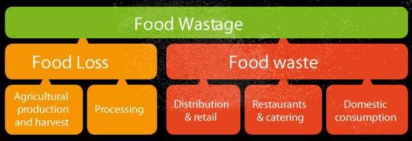 Food waste: