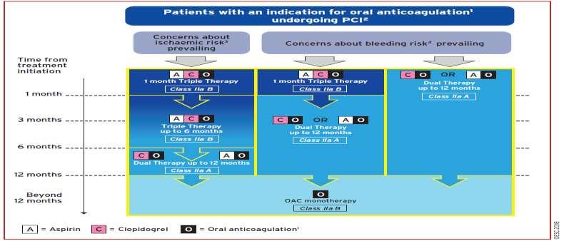 Ο αλγόριθμος για τη διπλή αντιαιμοπεταλιακή θεραπεία σε ασθενείς με ένδειξη για από του στόματος αντιπηκτική αγωγή που
