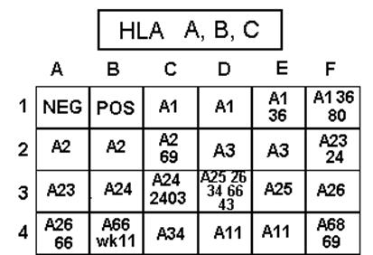 A20 A21 A28 A62 Α Β C D