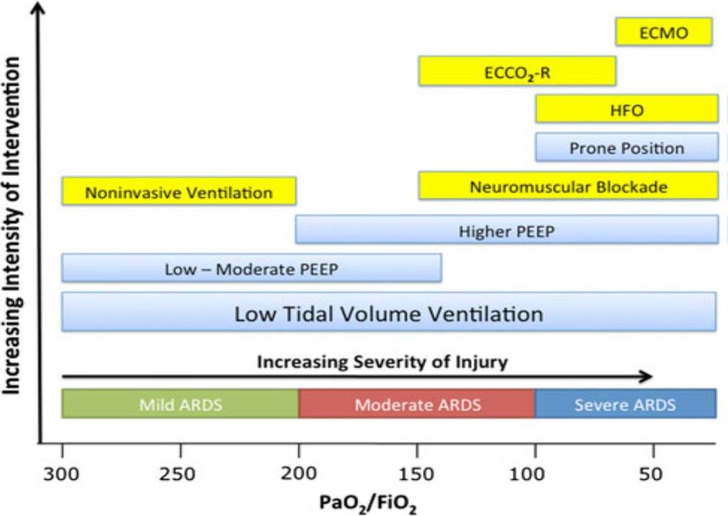 ARDS: Lung protective