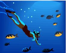 Problems: 1.Can you carry 1 m3 of liquid water? 2. You dive 5 m down in the ocean.