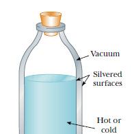 A cross-sectional view of a hot water flask,