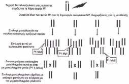 ΑΡΙΘΜΟΣ ΕΥΡ..Ε. (11):3099399 ΑΡΙΘ. ΕΛΛ. ΚΑΤΑΘΕΣΗΣ (21):20190400694 ΗΜΕΡ. ΕΛΛ. ΚΑΤΑΘΕΣΗΣ (22):04/03/2019 ΕΥΡΩΠΑΪΚΟΥ ΙΠΛΩΜΑΤΟΣ(87):2343966-05/12/2018 ΕΥΡΩΠΑΪΚΗΣ ΑΙΤΗΣΗΣ (86):09787362.