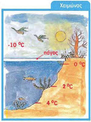 Γιατί δεν παγώνει όλη η λίμνη το χειμώνα; Συζήτησε με τους συμμαθητές σου και τον/την καθηγητή/τριά σου για τη σημασία που έχει η ανωμαλία της συστολής του νερού στη λίμνη.