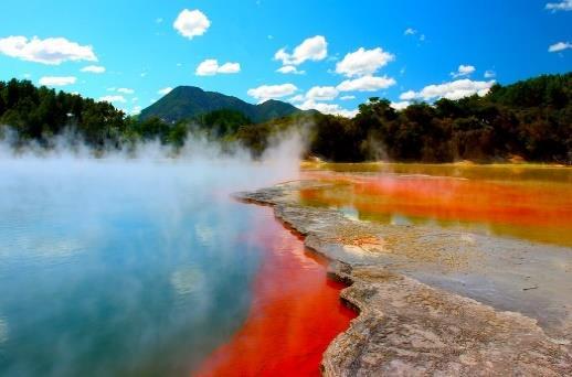 τα Πάρκο Rainbow Springs και γεύμα στο Skyline στη Ροτορούα Επίσκεψη στο Πάρκο Rainbow Springs με την πυκνή βλάστηση και γεύμα με πανοραμική θέα της