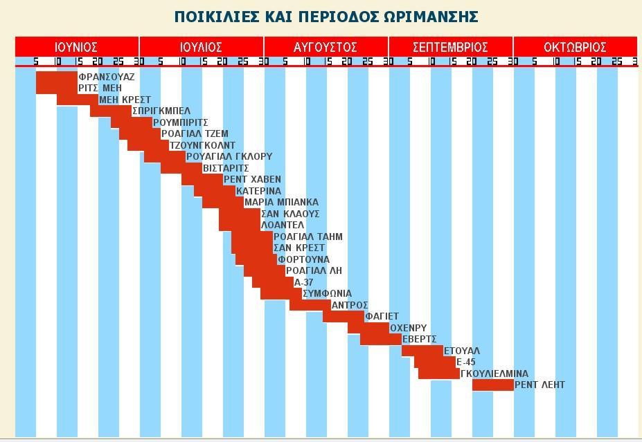 ΠΕΡΙΟΔΟΣ ΩΡΙΜΑΝΣΗΣ