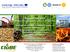 Biomass Day 2019 Βιο-βάσιμη Οικονομία στην Ενέργεια και το Περιβάλλον