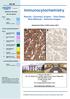 Immunocytochemistry. Results - Summary Graphs - Pass Rates Best Methods - Selected Images. Run 96. Assessment Dates: 5-20th January 2012