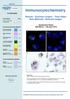 Immunocytochemistry. Results - Summary Graphs - Pass Rates Best Methods - Selected Images. Run 97. Assessment Dates: 26th March - 13th April 2012