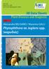 JKI Data Sheets. Plant Diseases and Diagnosis. Phytophthora σε Juglans spp. (καρυδιές) Alessandra BELISARIO / Massimo GALLI