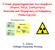 Γενικά χαρακτηριστικά των πυρήνων (Φορτίο, Μάζα, Σταθερότητα) Ισότοπα και Πυρηνικές αντιδράσεις Ραδιενέργεια. Α. Λιόλιος Μάθημα Πυρηνικής Φυσικής