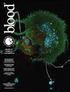 Journal of Experimental Hematology 2012 20 3 549-553 1 * AA005. AA005 > 200 nmol /L AA005 NB4 U937 K562 48 h R733. 71 R979. 1 A