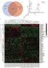 Sequencing and Comparison of Two2passage Genomes of Fast2growth Isolates of Attenuated Hepatitis A Virus( H2 Strain) in KMB17 Cells