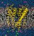 Ion Channel Hypothesis for Molecular Mechanism of Alzheimer s Disease