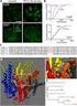 1 g, , CO 2 5% CO 2 , 37,, Jour. of N o rthw est Sci2T ech U niv. of A gri. and Fo r. (N aṫ Sci. Ed. ) M arch 2004 , 2