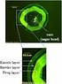 The Study and Application of Film Coated Pellets in the Prep aratio n of Pharmaceutic s