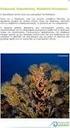 Εικόνα 1. Τα Πανελλήνια Συμπόσια Ωκεανογραφίας & Αλιείας, στο χώρο και το χρόνο